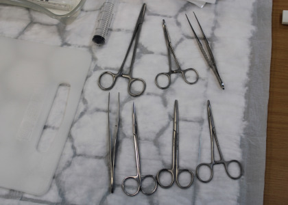Image for course Evening Suturing Skills Sessions - 27 March 2026