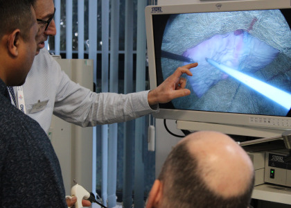 Image for course Laparoscopic Inguinal Hernia Repair