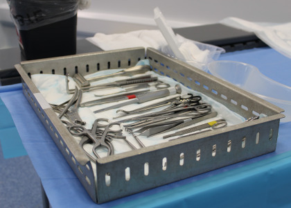 Image for course Cadaveric Hand, Wrist & Forearm