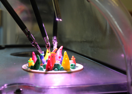 Image for course BIARGS Lapco Train the Trainer