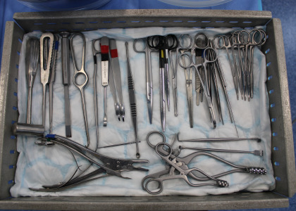 Image for course Cadaveric Foot & Ankle